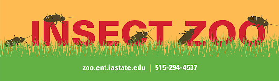 Summer reading program performance – ISU Insect Zoo