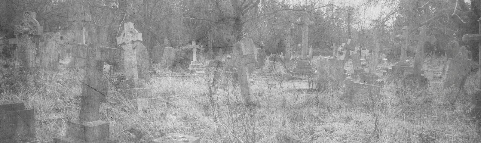 Reminisce Society: Interviews with Ghostly Ottumwans